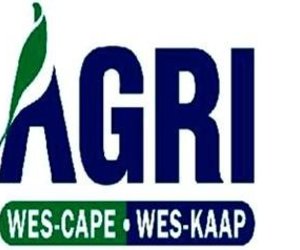 PERSPEKTIEF OOR BEPLANDE STAKINGS IN WES-KAAP